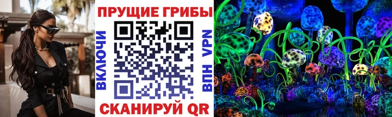 Псилоцибиновые грибы Cubensis  Новое Девяткино 