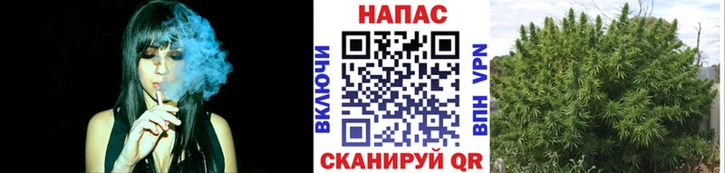 наркотики  Новое Девяткино  Бошки марихуана Amnesia 